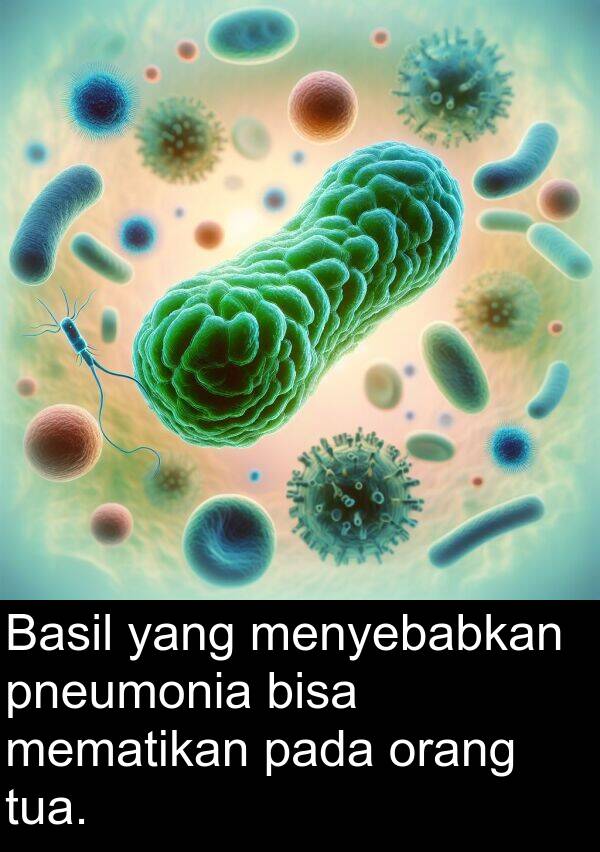 mematikan: Basil yang menyebabkan pneumonia bisa mematikan pada orang tua.