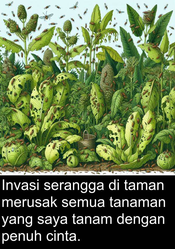 serangga: Invasi serangga di taman merusak semua tanaman yang saya tanam dengan penuh cinta.