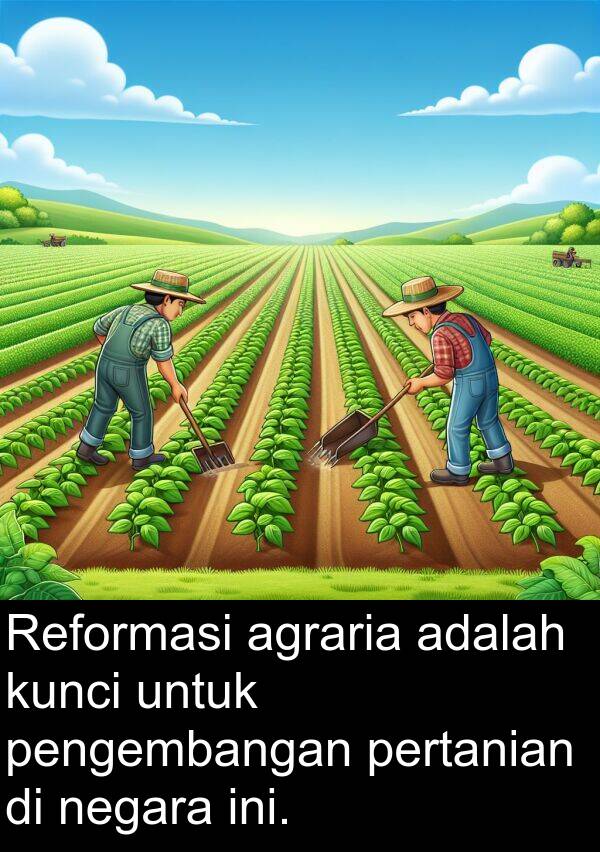 negara: Reformasi agraria adalah kunci untuk pengembangan pertanian di negara ini.