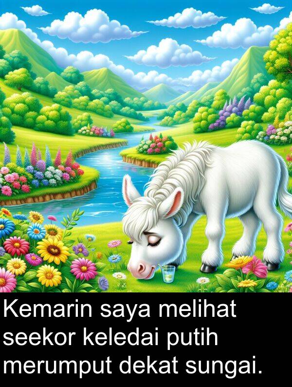 melihat: Kemarin saya melihat seekor keledai putih merumput dekat sungai.