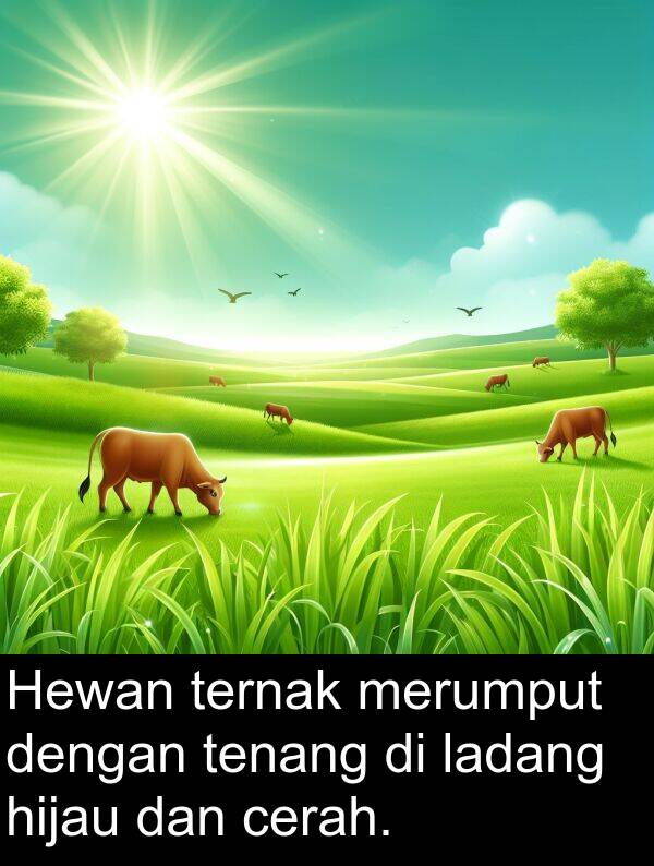hijau: Hewan ternak merumput dengan tenang di ladang hijau dan cerah.