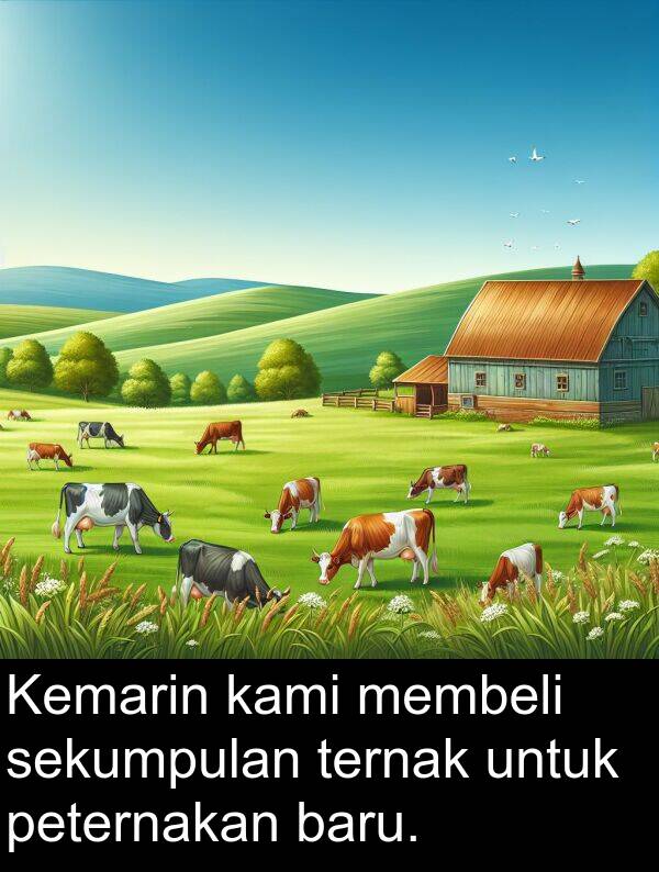ternak: Kemarin kami membeli sekumpulan ternak untuk peternakan baru.