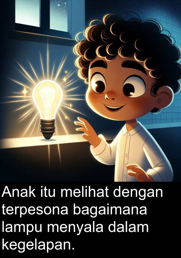 lampu: Anak itu melihat dengan terpesona bagaimana lampu menyala dalam kegelapan.
