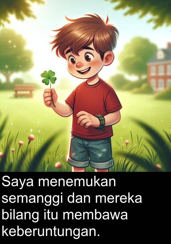 semanggi: Saya menemukan semanggi dan mereka bilang itu membawa keberuntungan.