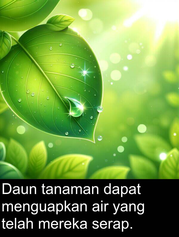 tanaman: Daun tanaman dapat menguapkan air yang telah mereka serap.