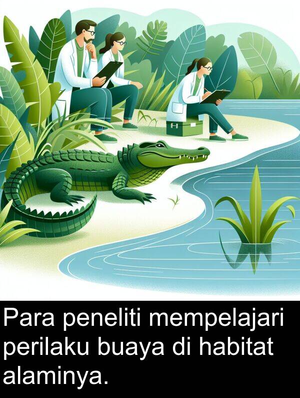 habitat: Para peneliti mempelajari perilaku buaya di habitat alaminya.