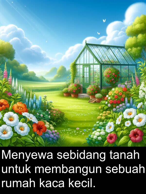 membangun: Menyewa sebidang tanah untuk membangun sebuah rumah kaca kecil.