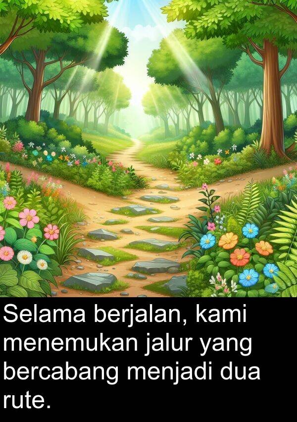 jalur: Selama berjalan, kami menemukan jalur yang bercabang menjadi dua rute.