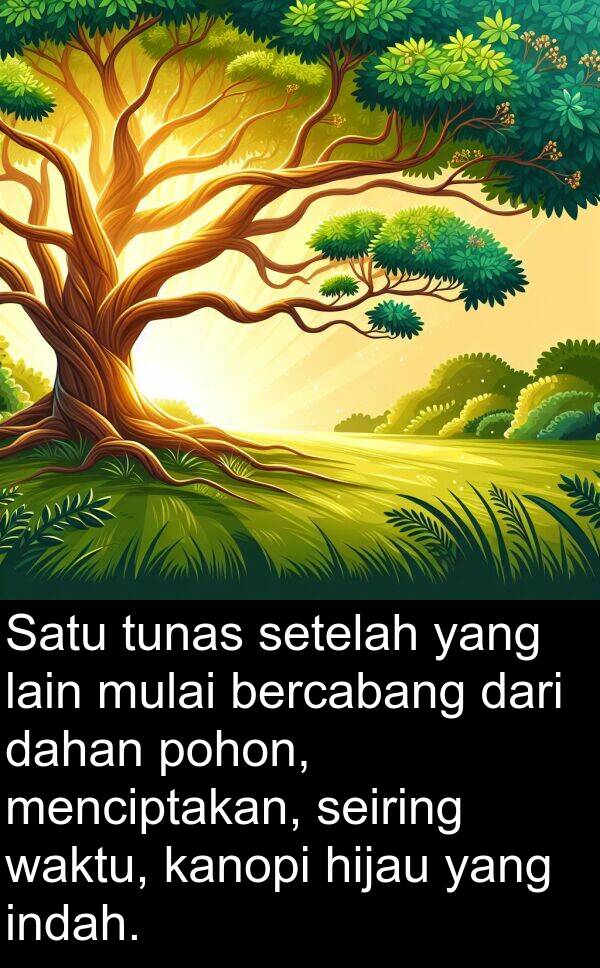 hijau: Satu tunas setelah yang lain mulai bercabang dari dahan pohon, menciptakan, seiring waktu, kanopi hijau yang indah.