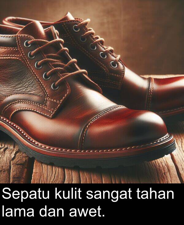 tahan: Sepatu kulit sangat tahan lama dan awet.