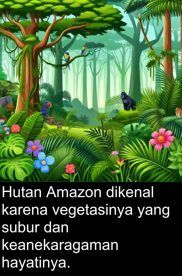 hayatinya: Hutan Amazon dikenal karena vegetasinya yang subur dan keanekaragaman hayatinya.