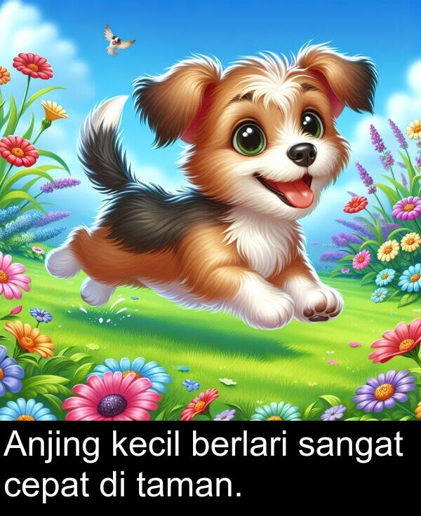 taman: Anjing kecil berlari sangat cepat di taman.