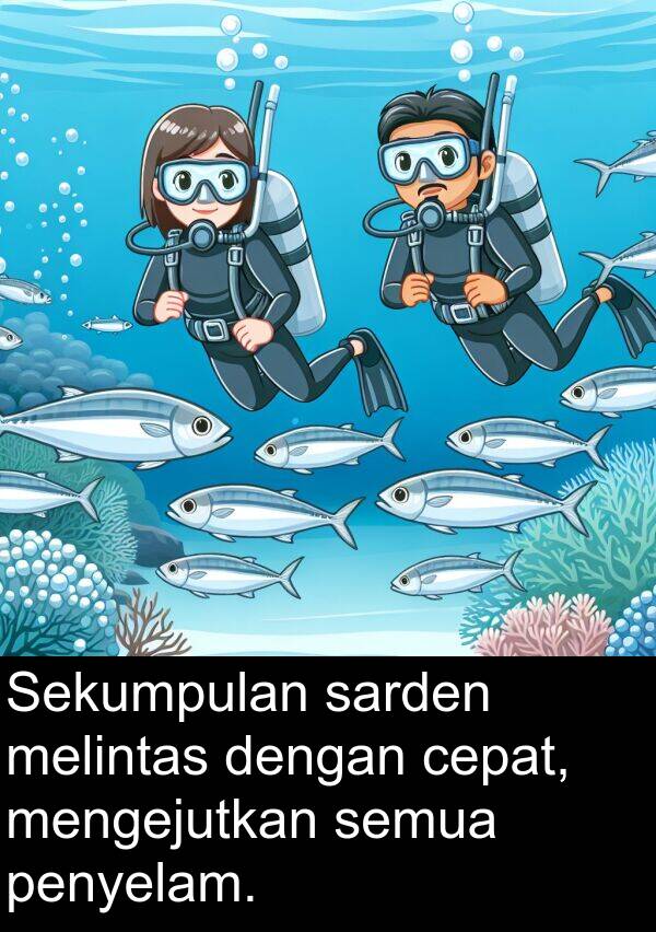 melintas: Sekumpulan sarden melintas dengan cepat, mengejutkan semua penyelam.