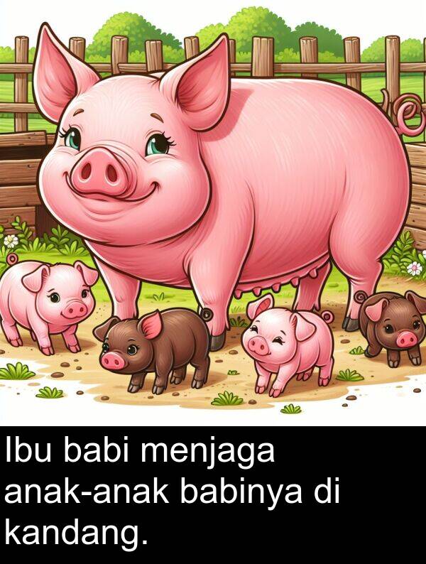 babi: Ibu babi menjaga anak-anak babinya di kandang.