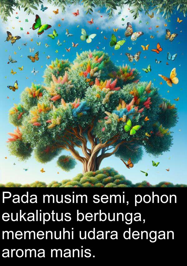 manis: Pada musim semi, pohon eukaliptus berbunga, memenuhi udara dengan aroma manis.