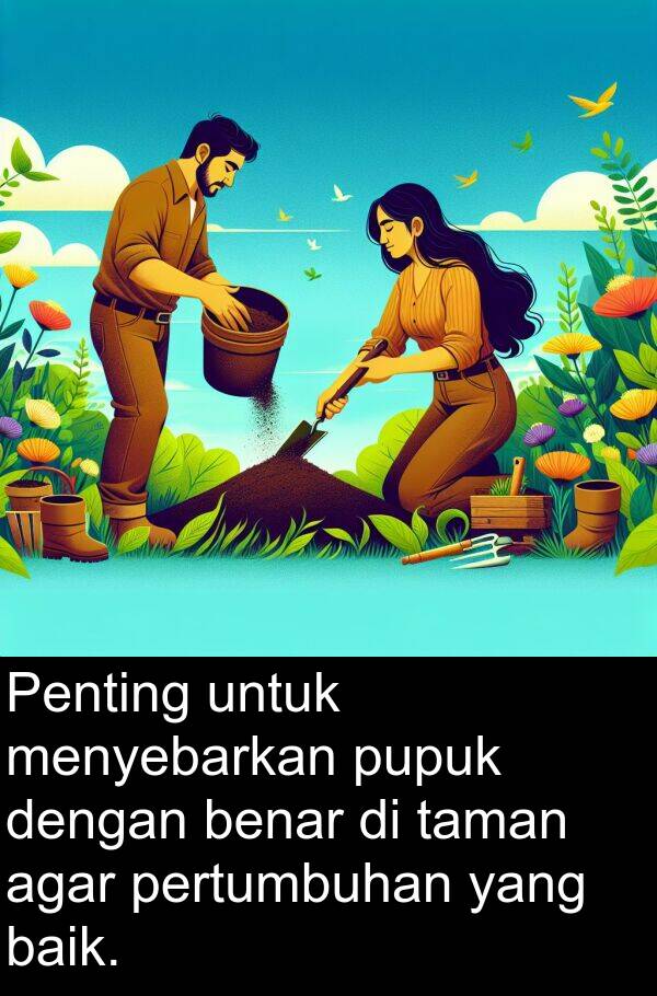 benar: Penting untuk menyebarkan pupuk dengan benar di taman agar pertumbuhan yang baik.