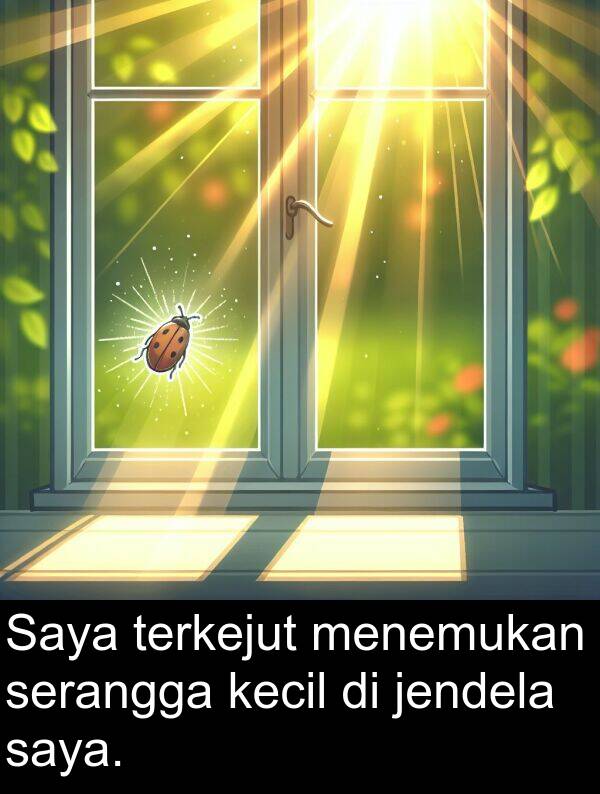 serangga: Saya terkejut menemukan serangga kecil di jendela saya.