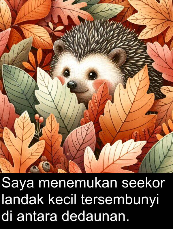 landak: Saya menemukan seekor landak kecil tersembunyi di antara dedaunan.