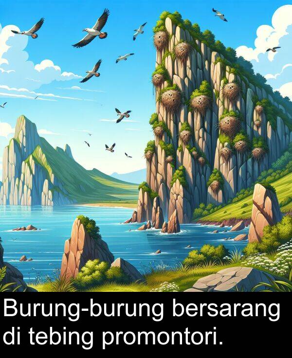 tebing: Burung-burung bersarang di tebing promontori.
