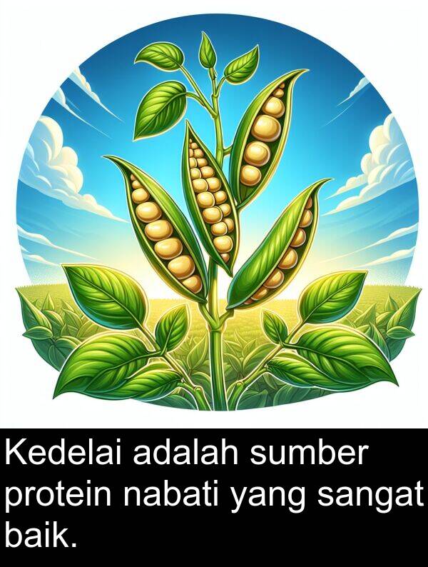 nabati: Kedelai adalah sumber protein nabati yang sangat baik.