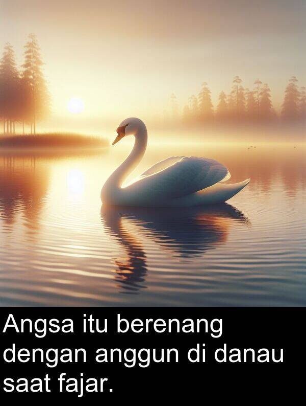 saat: Angsa itu berenang dengan anggun di danau saat fajar.