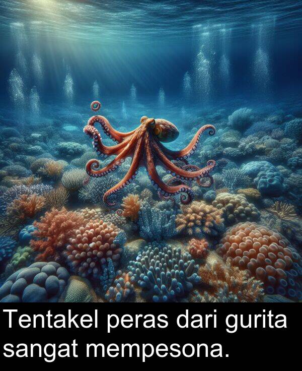 gurita: Tentakel peras dari gurita sangat mempesona.