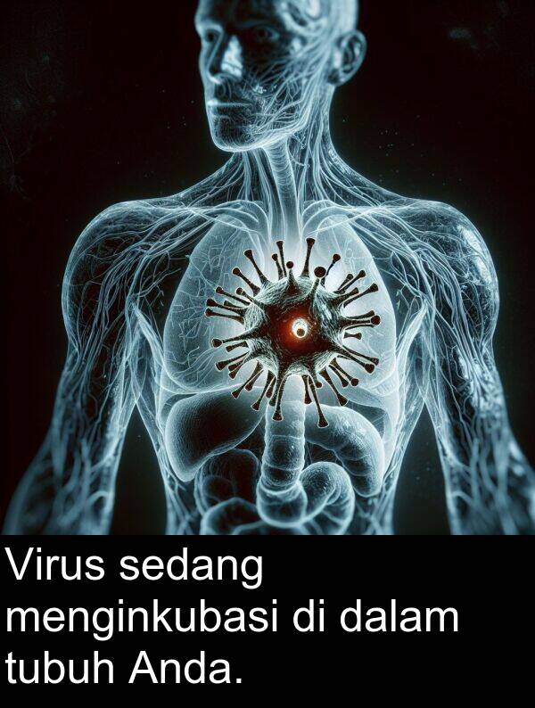 sedang: Virus sedang menginkubasi di dalam tubuh Anda.