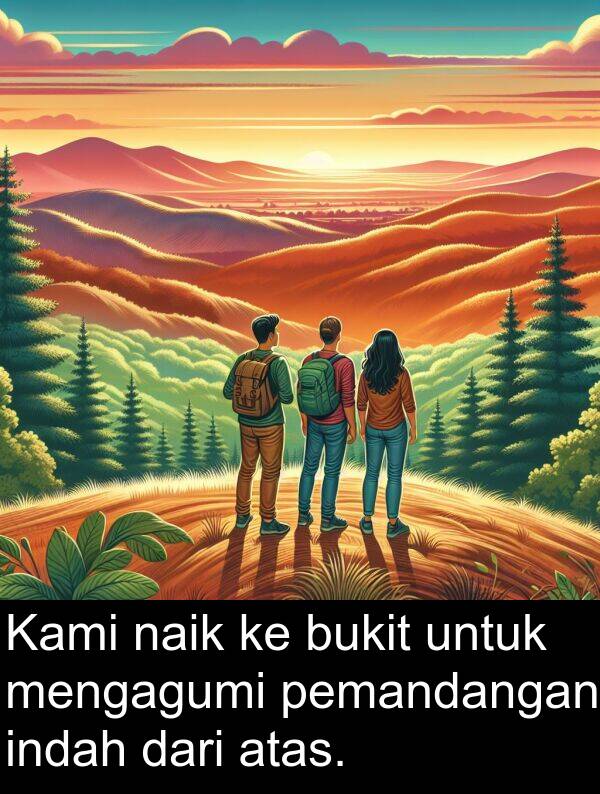 naik: Kami naik ke bukit untuk mengagumi pemandangan indah dari atas.