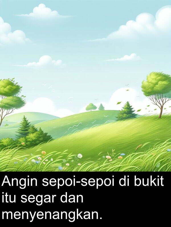 segar: Angin sepoi-sepoi di bukit itu segar dan menyenangkan.