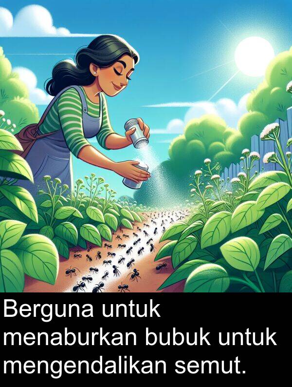 semut: Berguna untuk menaburkan bubuk untuk mengendalikan semut.