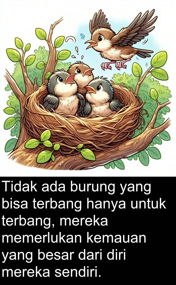 sendiri: Tidak ada burung yang bisa terbang hanya untuk terbang, mereka memerlukan kemauan yang besar dari diri mereka sendiri.