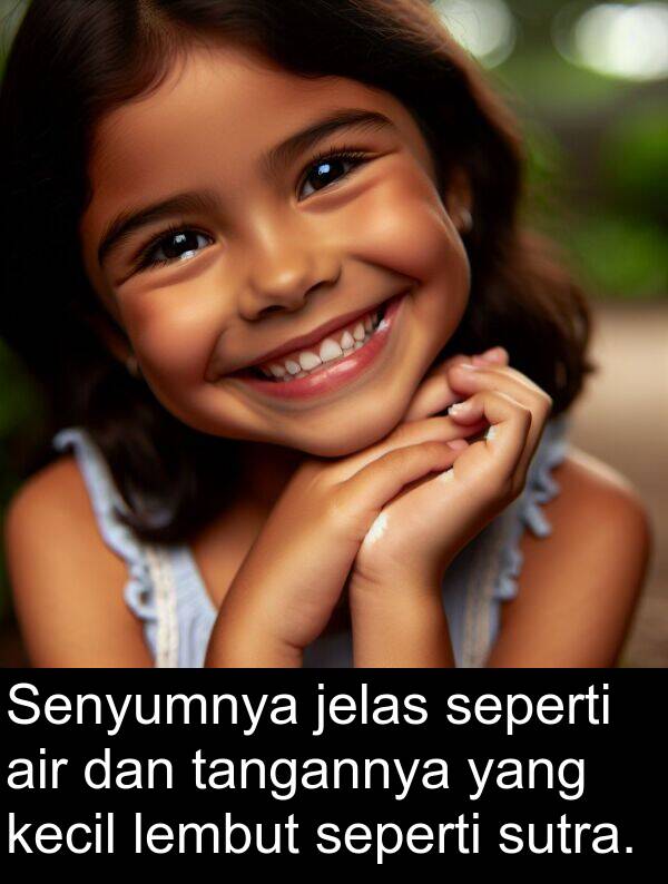 jelas: Senyumnya jelas seperti air dan tangannya yang kecil lembut seperti sutra.