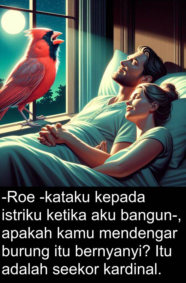 bangun: -Roe -kataku kepada istriku ketika aku bangun-, apakah kamu mendengar burung itu bernyanyi? Itu adalah seekor kardinal.