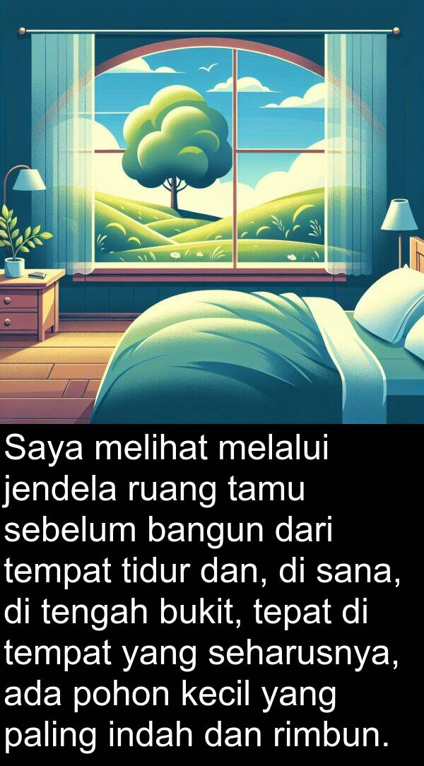sana: Saya melihat melalui jendela ruang tamu sebelum bangun dari tempat tidur dan, di sana, di tengah bukit, tepat di tempat yang seharusnya, ada pohon kecil yang paling indah dan rimbun.