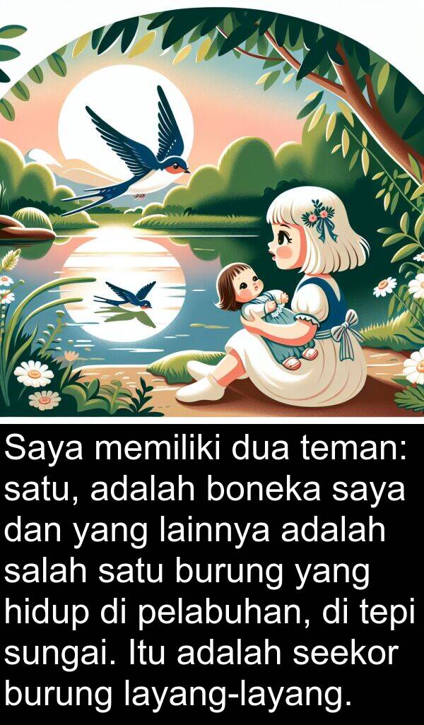 lainnya: Saya memiliki dua teman: satu, adalah boneka saya dan yang lainnya adalah salah satu burung yang hidup di pelabuhan, di tepi sungai. Itu adalah seekor burung layang-layang.