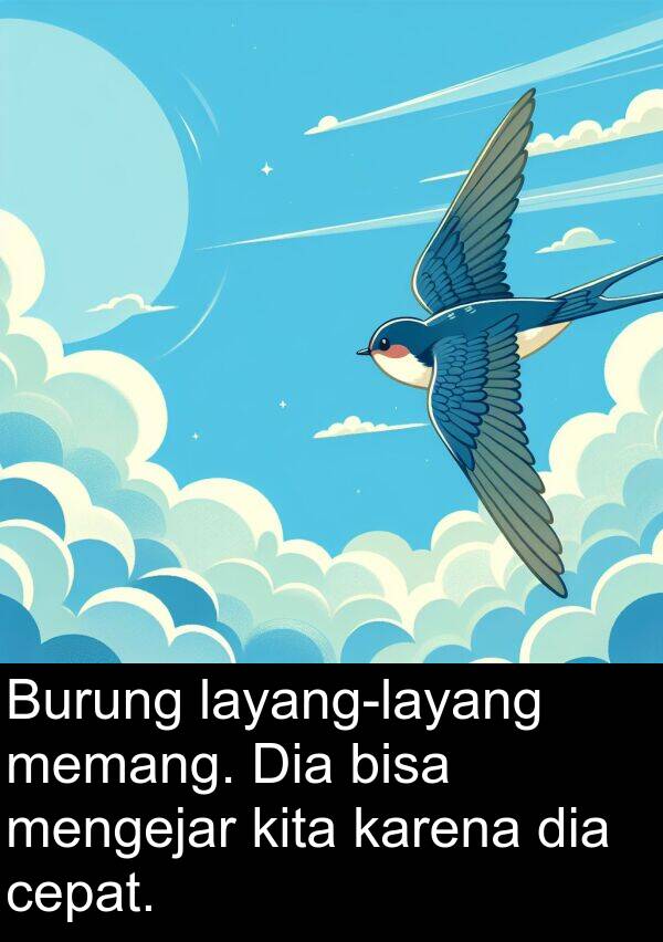 memang: Burung layang-layang memang. Dia bisa mengejar kita karena dia cepat.