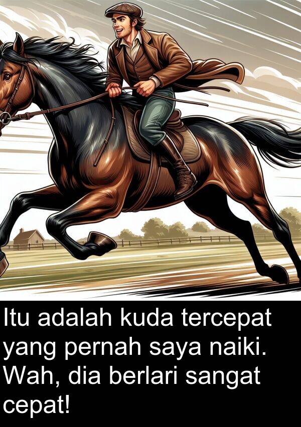 tercepat: Itu adalah kuda tercepat yang pernah saya naiki. Wah, dia berlari sangat cepat!
