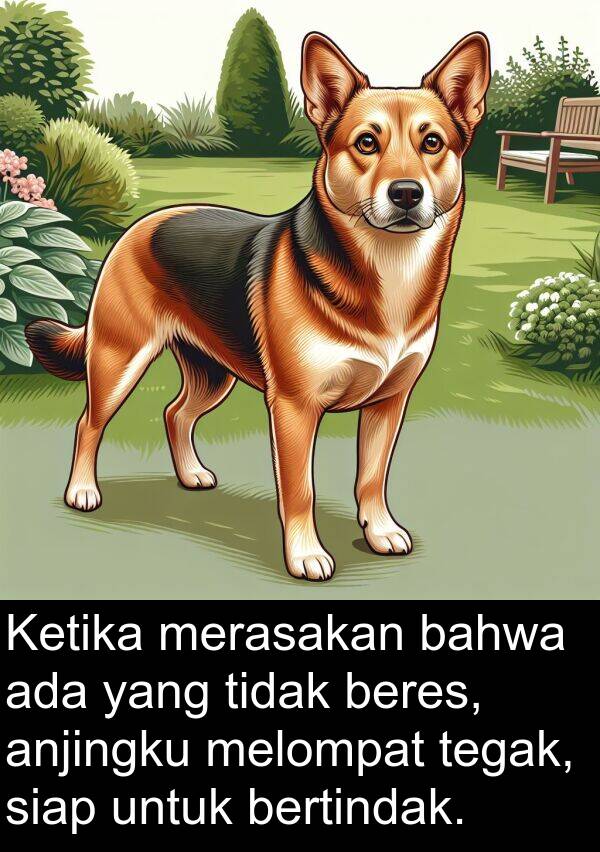 beres: Ketika merasakan bahwa ada yang tidak beres, anjingku melompat tegak, siap untuk bertindak.