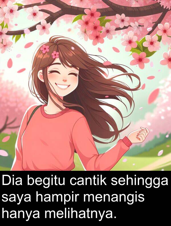hampir: Dia begitu cantik sehingga saya hampir menangis hanya melihatnya.