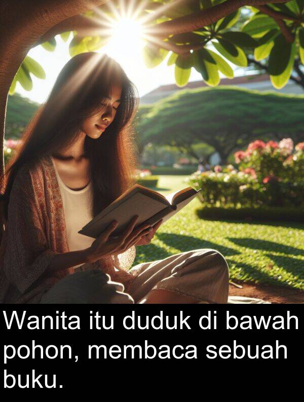 membaca: Wanita itu duduk di bawah pohon, membaca sebuah buku.