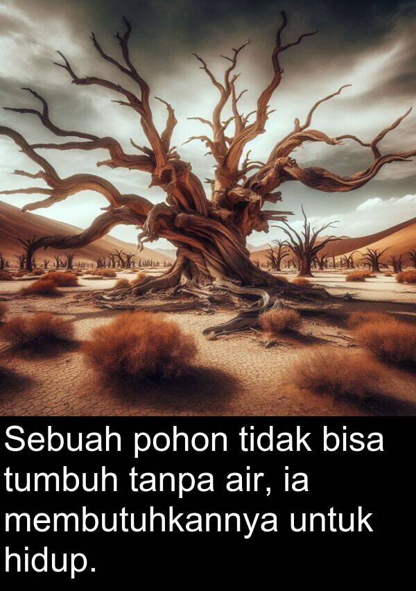 tanpa: Sebuah pohon tidak bisa tumbuh tanpa air, ia membutuhkannya untuk hidup.