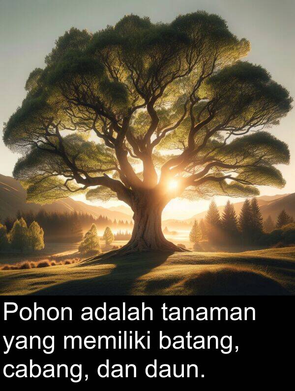 tanaman: Pohon adalah tanaman yang memiliki batang, cabang, dan daun.
