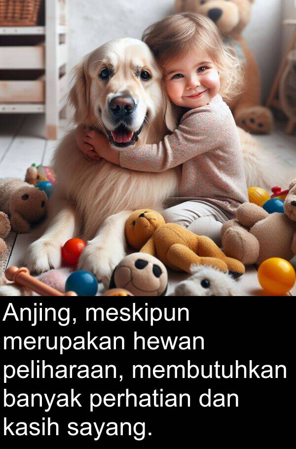 meskipun: Anjing, meskipun merupakan hewan peliharaan, membutuhkan banyak perhatian dan kasih sayang.