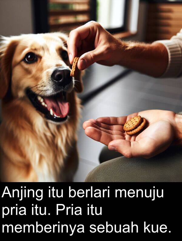 berlari: Anjing itu berlari menuju pria itu. Pria itu memberinya sebuah kue.