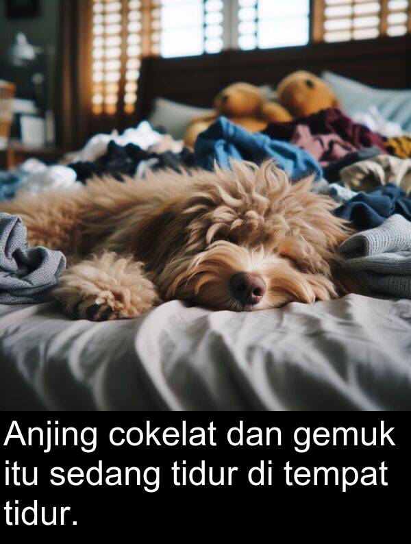sedang: Anjing cokelat dan gemuk itu sedang tidur di tempat tidur.
