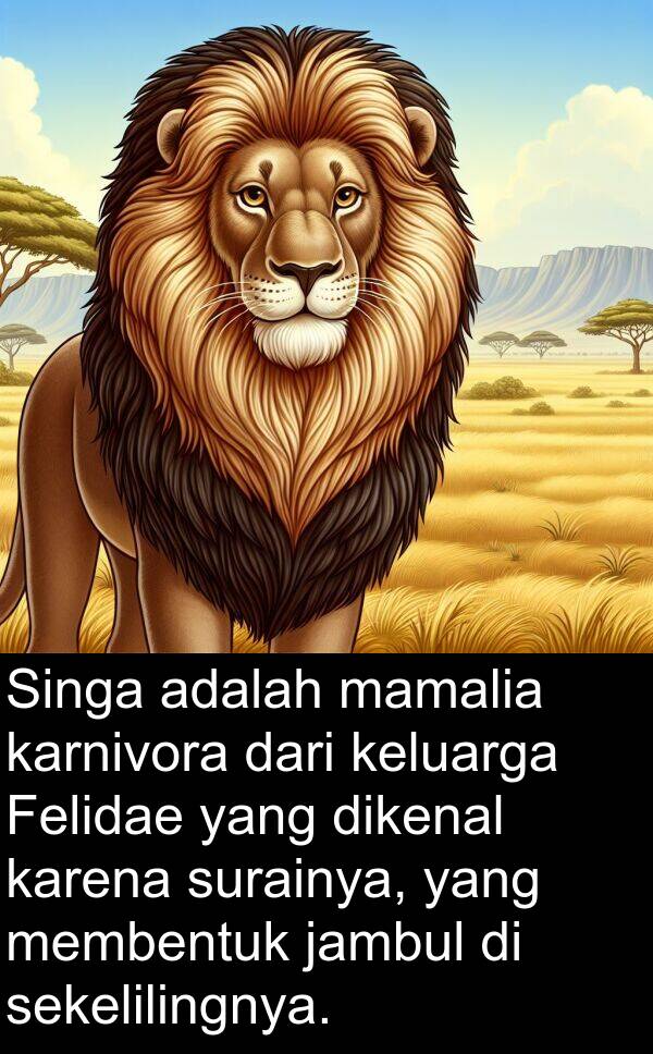 sekelilingnya: Singa adalah mamalia karnivora dari keluarga Felidae yang dikenal karena surainya, yang membentuk jambul di sekelilingnya.