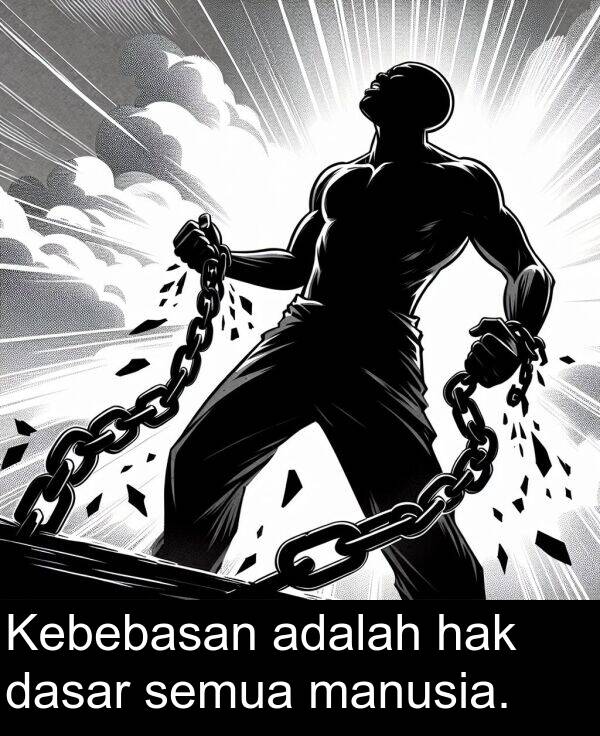 manusia: Kebebasan adalah hak dasar semua manusia.