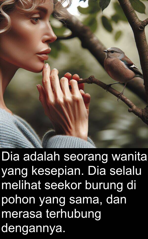 wanita: Dia adalah seorang wanita yang kesepian. Dia selalu melihat seekor burung di pohon yang sama, dan merasa terhubung dengannya.