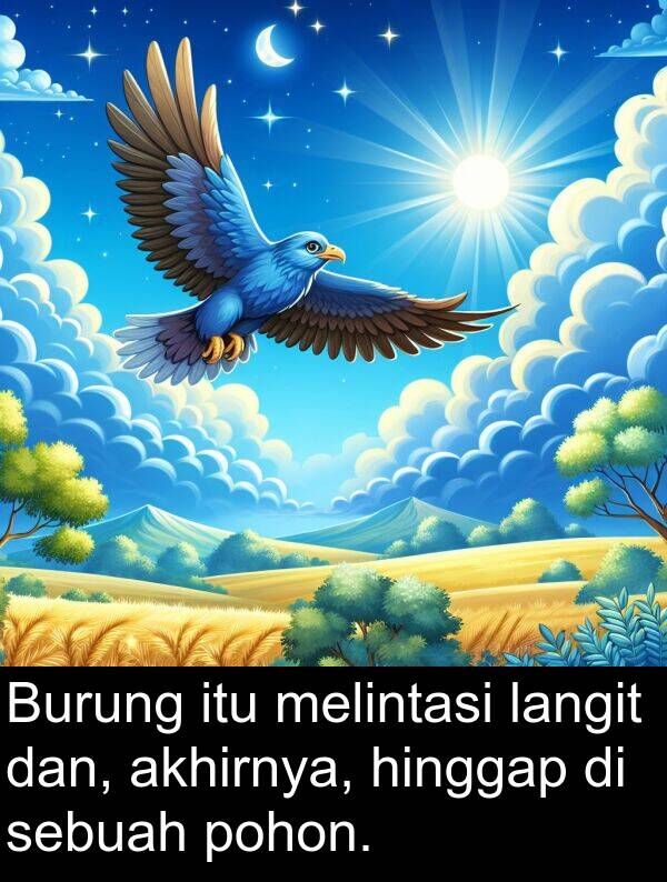 langit: Burung itu melintasi langit dan, akhirnya, hinggap di sebuah pohon.