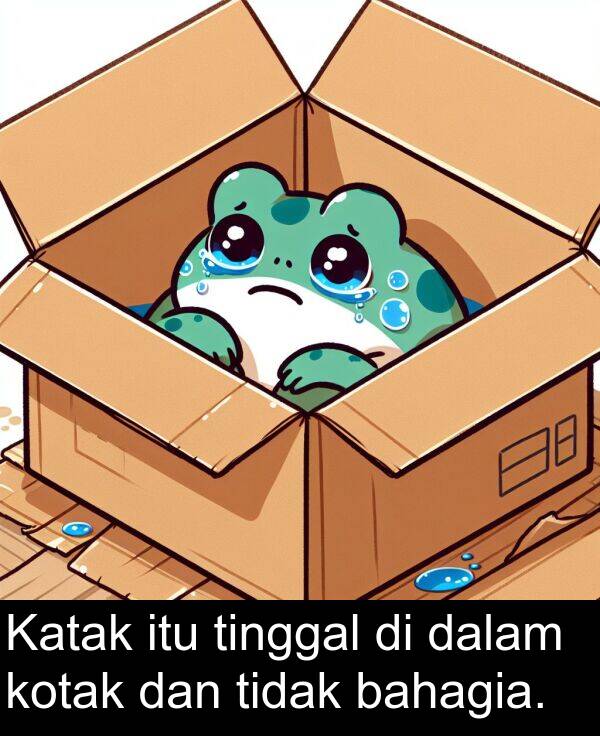 kotak: Katak itu tinggal di dalam kotak dan tidak bahagia.